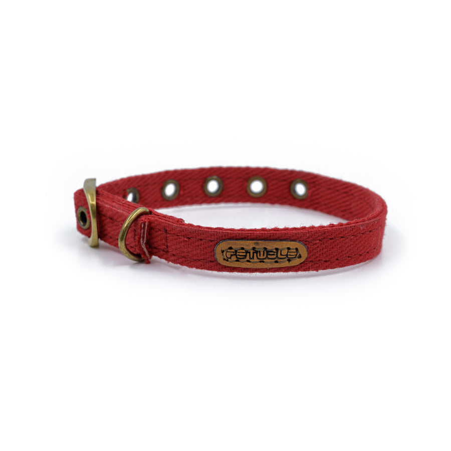 Buy Cat Products Online | Cat Toys, Cat Food & more – Pawsindia
