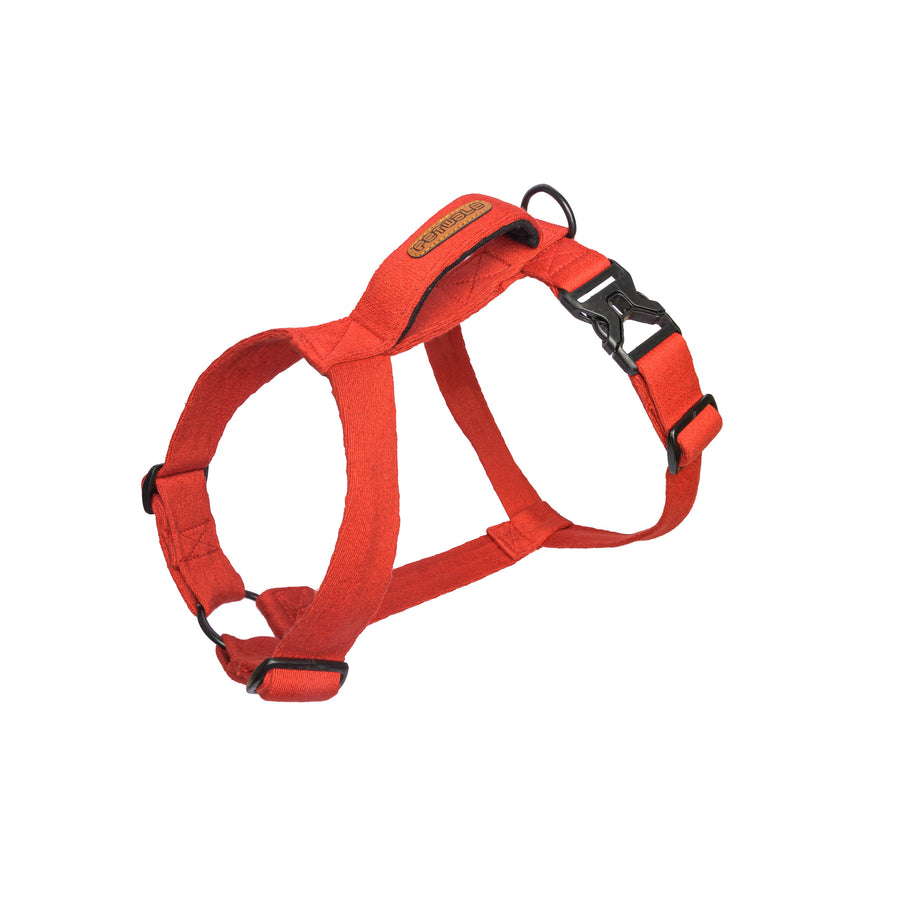 Buy Dog Harness Online in India at Best Prices Pawsindia