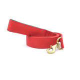 PetWale Red Leash with Padded Handle