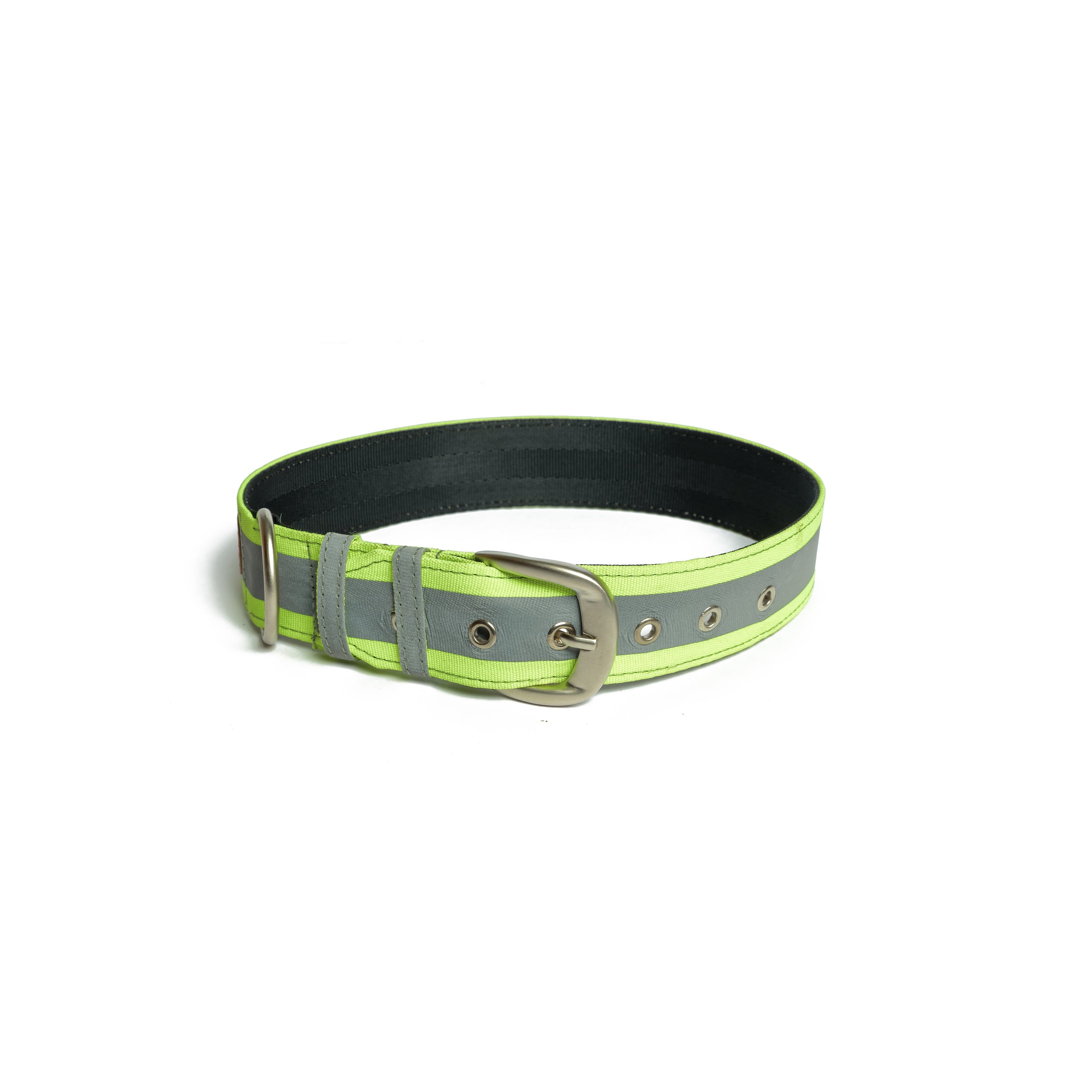PetWale Reflective Green Belt Collar