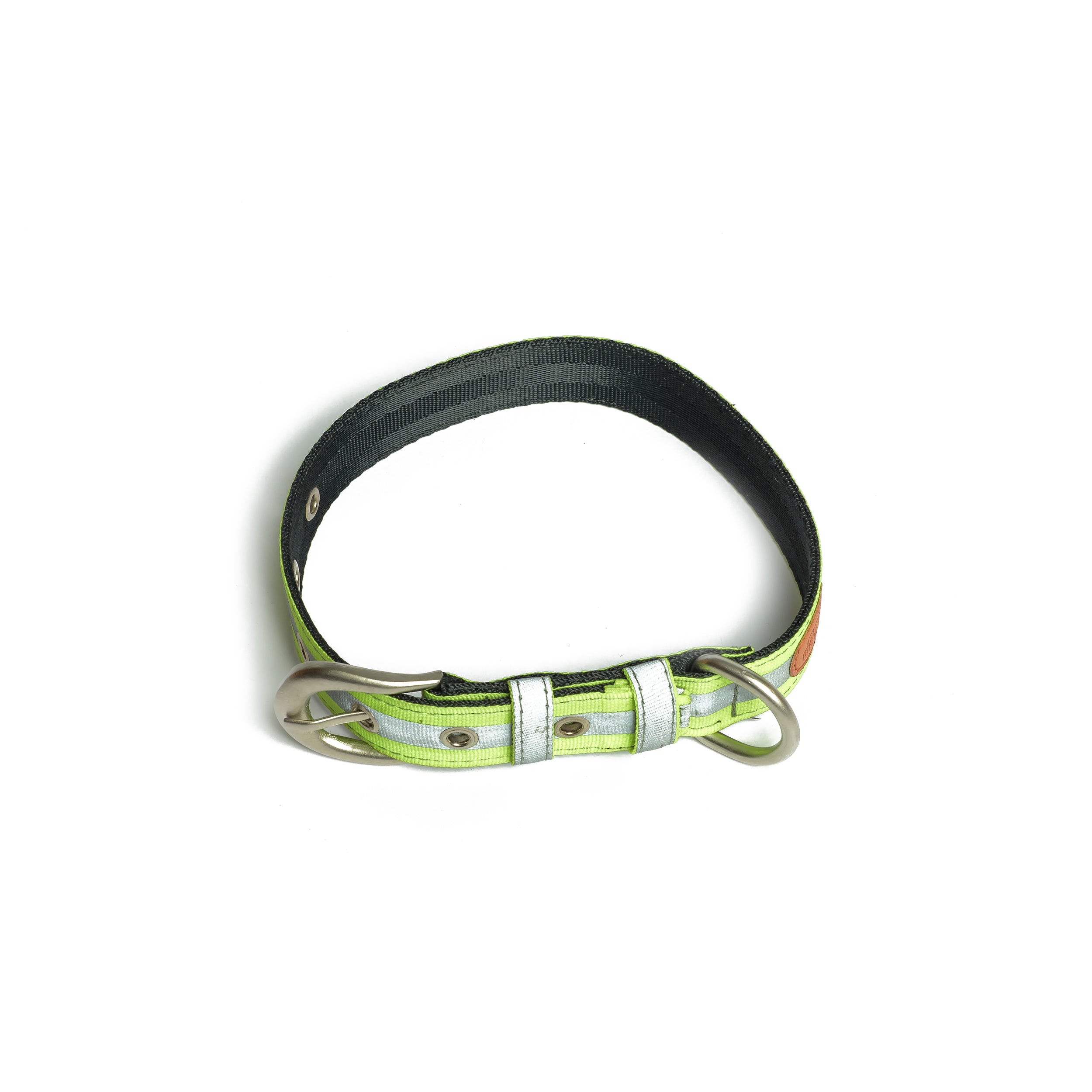 PetWale Reflective Green Belt Collar