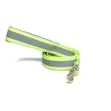 PetWale Reflective Green Leash with Padded Handle