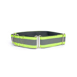 PetWale Reflective Green Martingale Collar