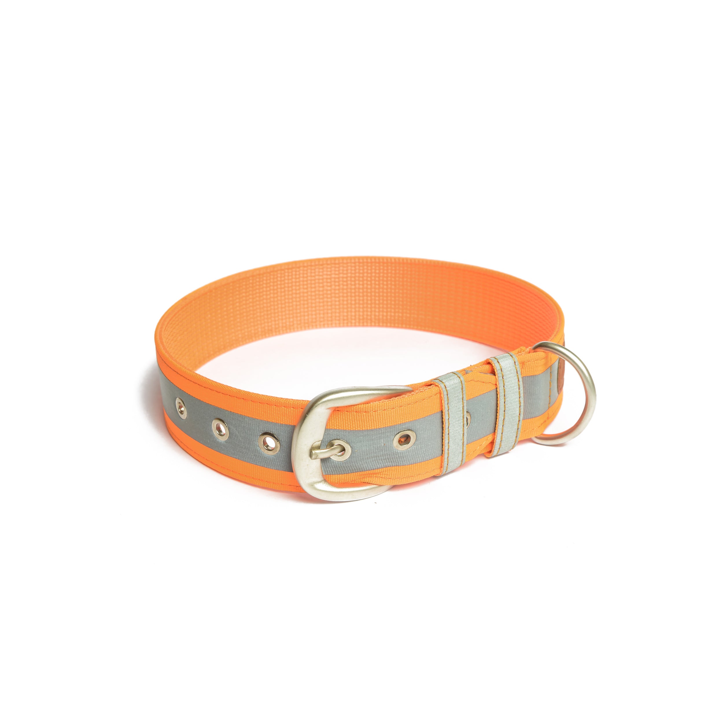 PetWale Reflective Orange Belt Collar