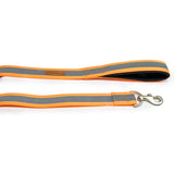 PetWale Reflective Orange Leash with Padded Handle