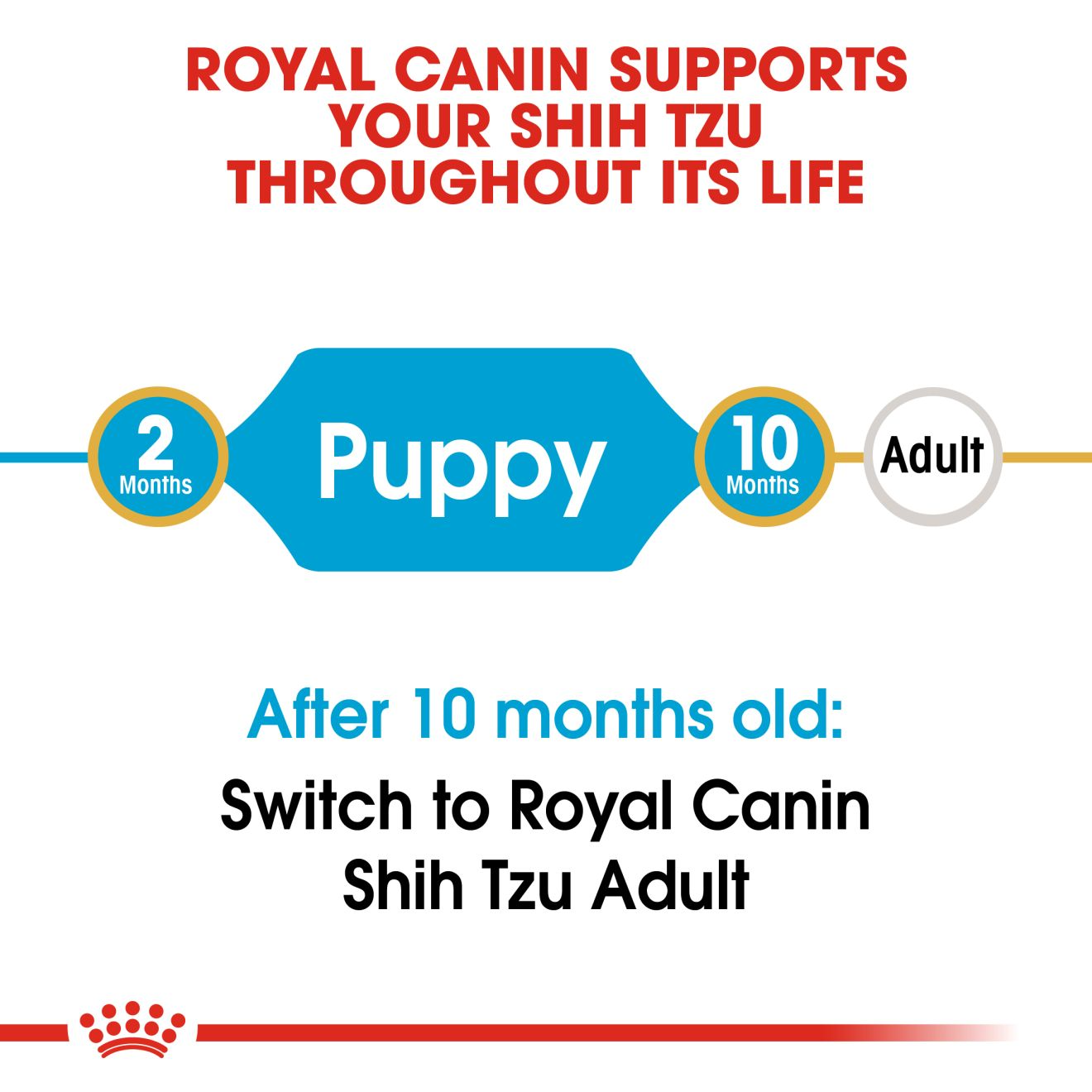 Royal Canin - Shih Tzu Puppy Dry Food