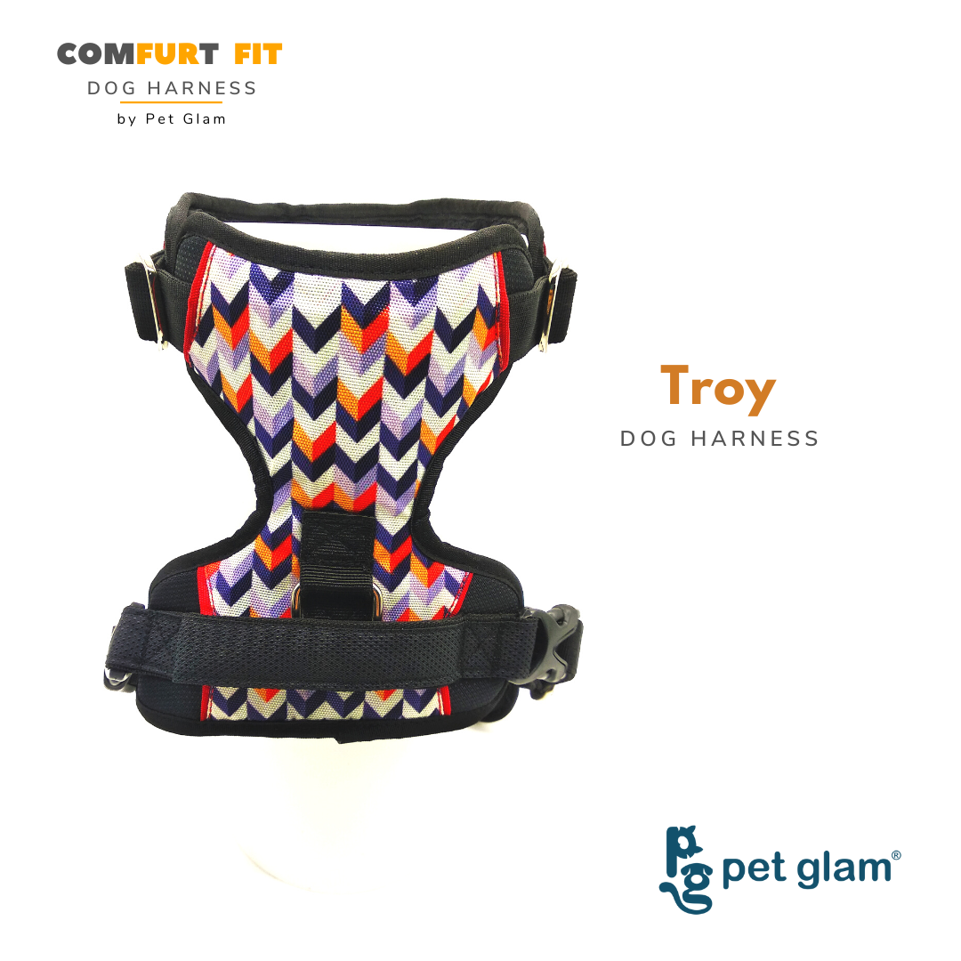 Pet Glam Dog Harness - Troy