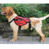 Truelove Backpack Harness - Red