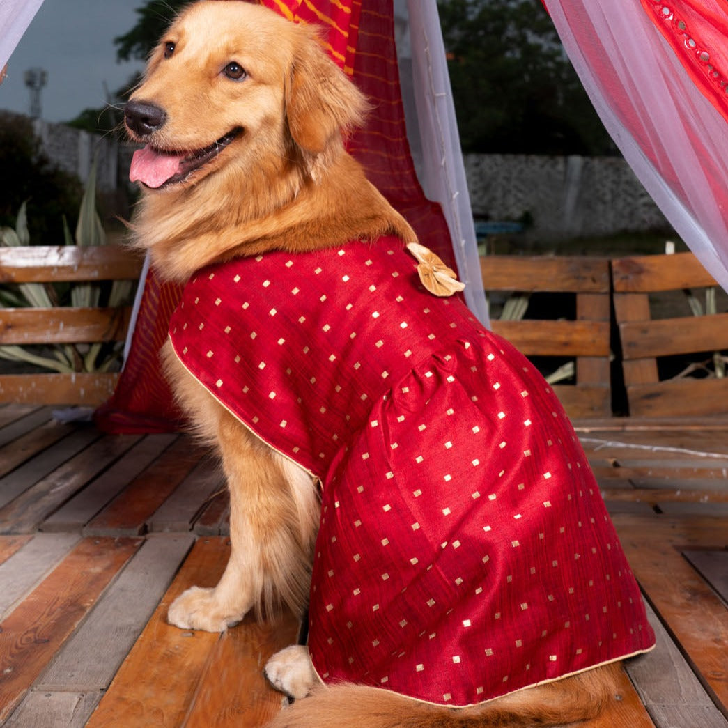 Vastramay Dogs' Maroon And Gold Silk Blend Dress