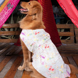 Vastramay Dogs' Cream Floral Printed Cotton Blend Dress
