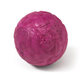 West Paw Zogoflex Air Boz Chew Ball for Dogs - Currant