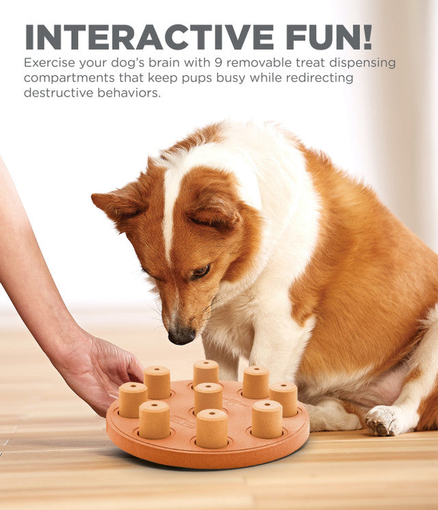 Dog Smart Composite Interactive Treat (23 cm) Orange
