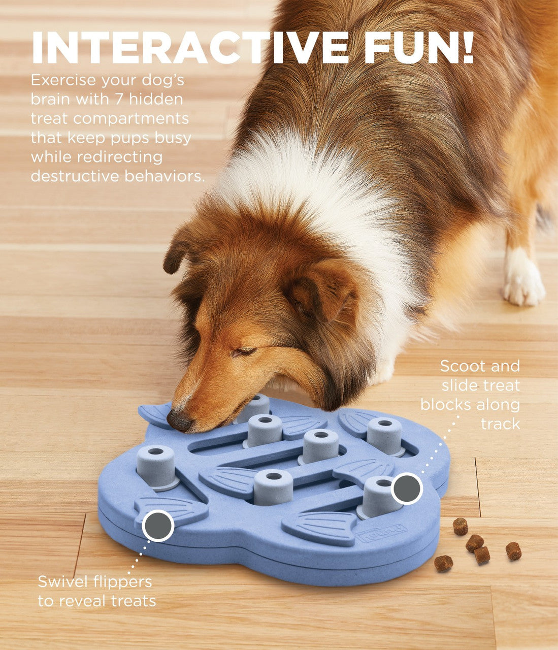 Buy Nina Ottosson by Outward Hound Dog Smart Interactive Dog Puzzle - Level  1 (Beginner) at Lowest Prices In India