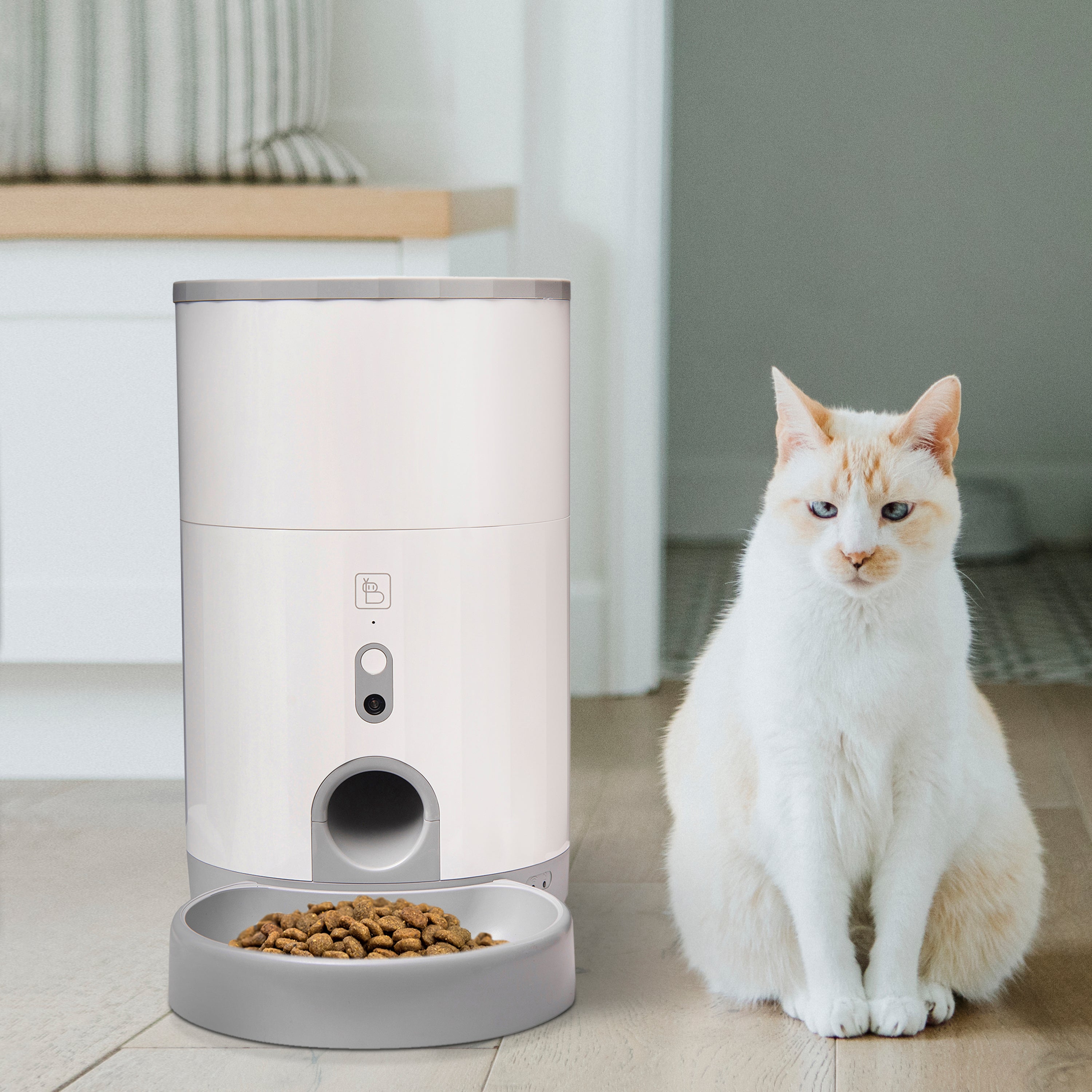 Baybot Pet Feeder (Dry) - Automatic Food Dispenser For Dog And Cat | Smart, WiFi Connected