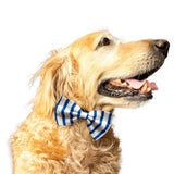 Ruse "Blue Curacao Striper" Dog Bow Tie
