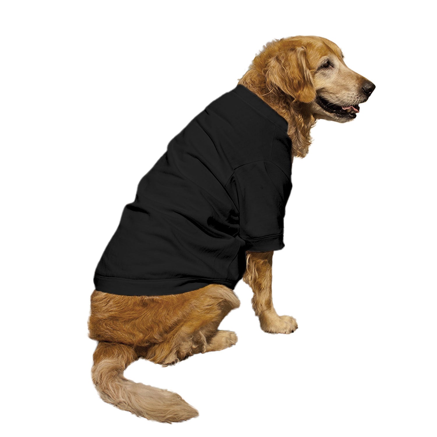 Ruse / Black / dinner-dog-jacket