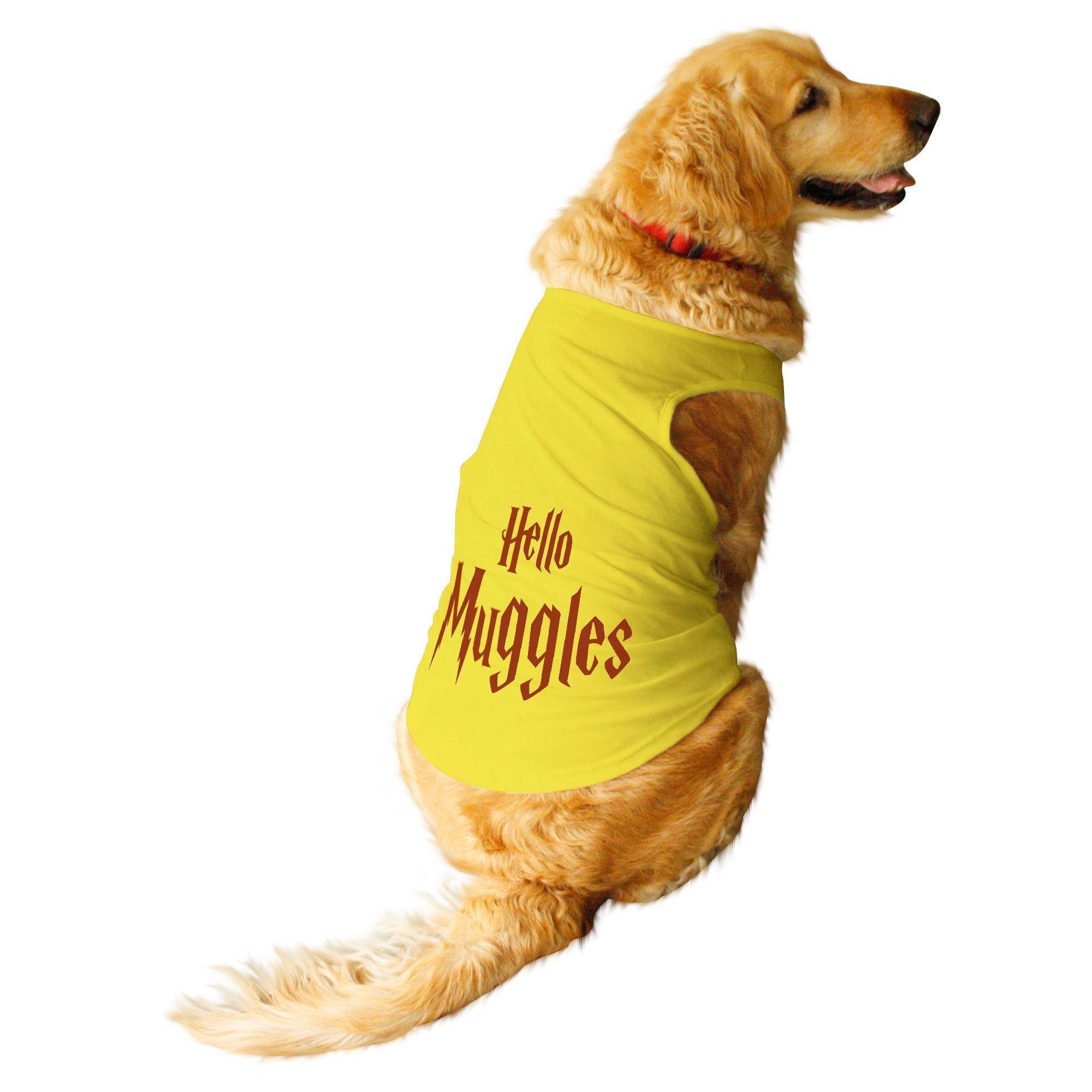 Ruse / Yellow / hello-muggles-dog-tee