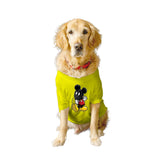 Ruse XX-Small (Chihuahuas, Papillons) / Yellow Ruse Basic Crew Neck 'Mouse Bane' Printed Half Sleeves Dog Tee4