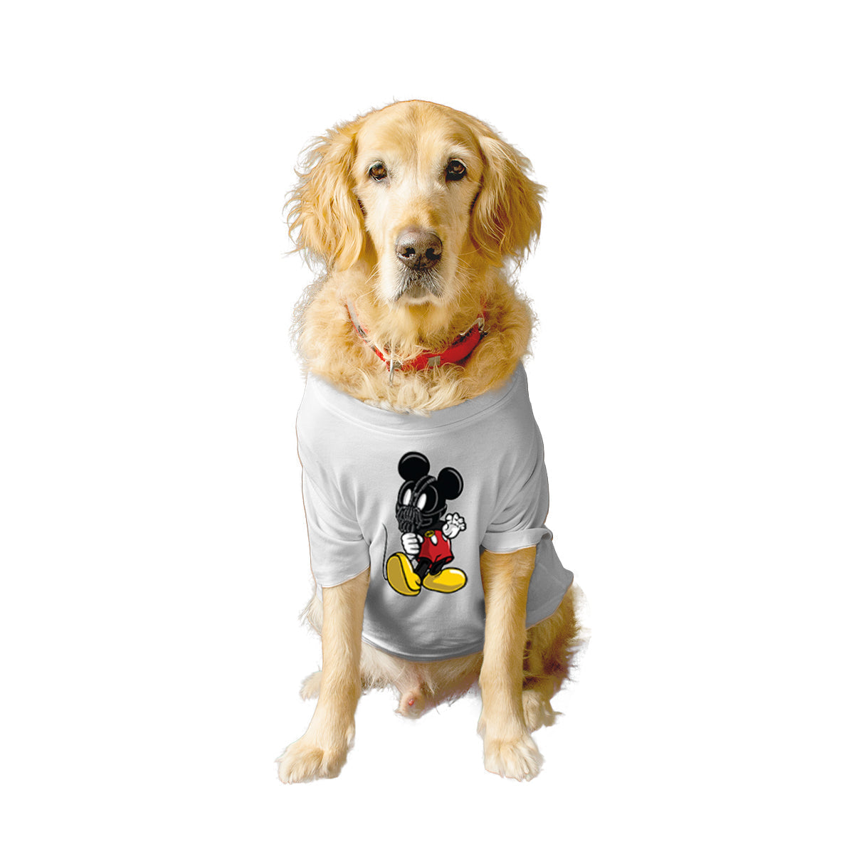 Ruse XX-Small (Chihuahuas, Papillons) / White Ruse Basic Crew Neck 'Mouse Bane' Printed Half Sleeves Dog Tee6