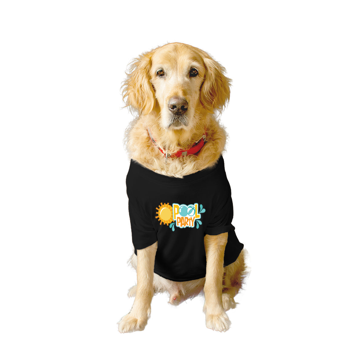 Ruse XX-Small (Chihuahuas, Papillons) / Black Ruse Basic Crew Neck 'Pool Party' Printed Half Sleeves Dog Tee7