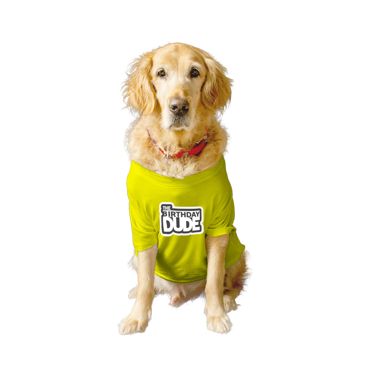 Ruse XX-Small (Chihuahuas, Papillons) / Yellow Ruse Basic Crew Neck 'The Birthday Dude' Printed Half Sleeves Dog Tee4