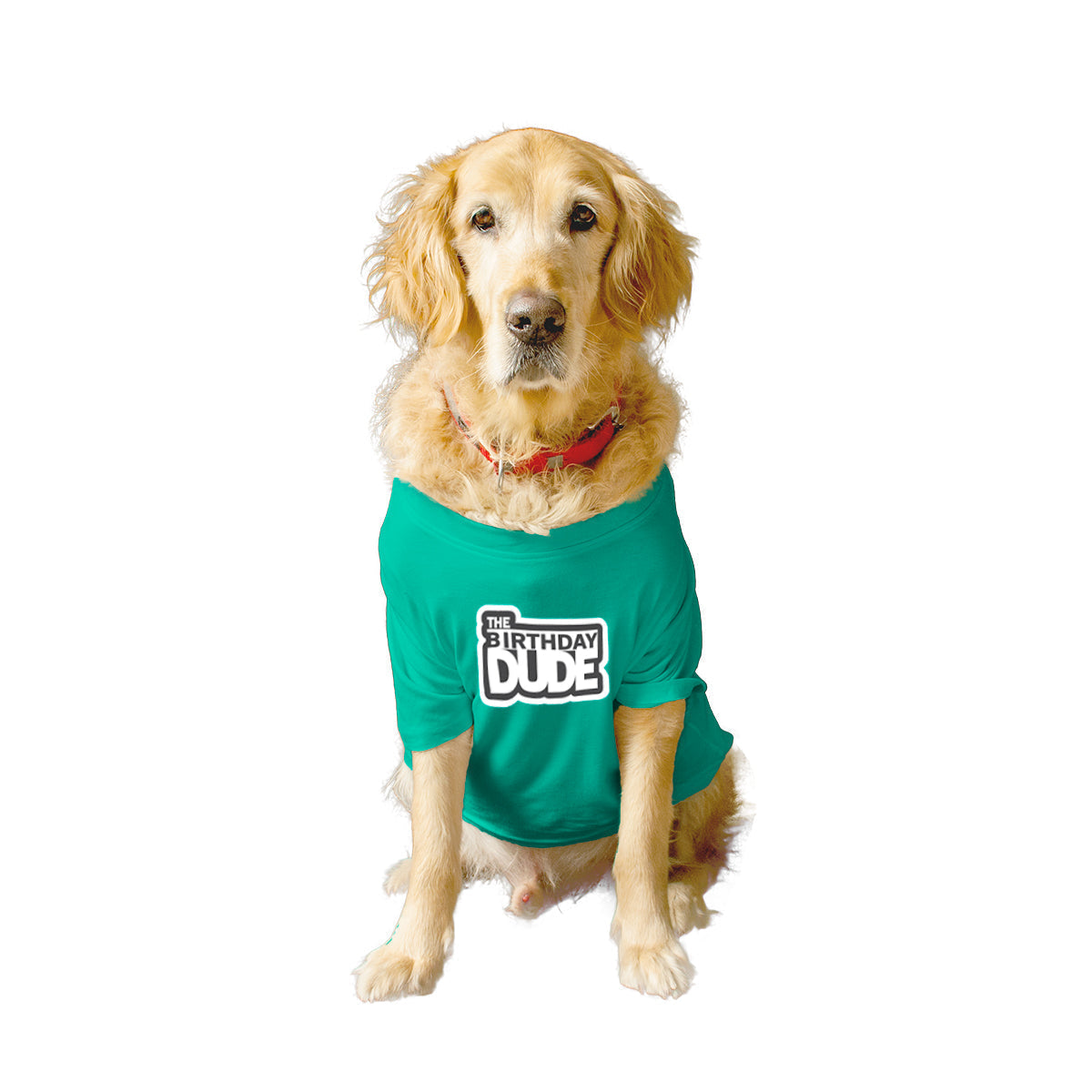 Ruse XX-Small (Chihuahuas, Papillons) / Aqua Green Ruse Basic Crew Neck 'The Birthday Dude' Printed Half Sleeves Dog Tee5