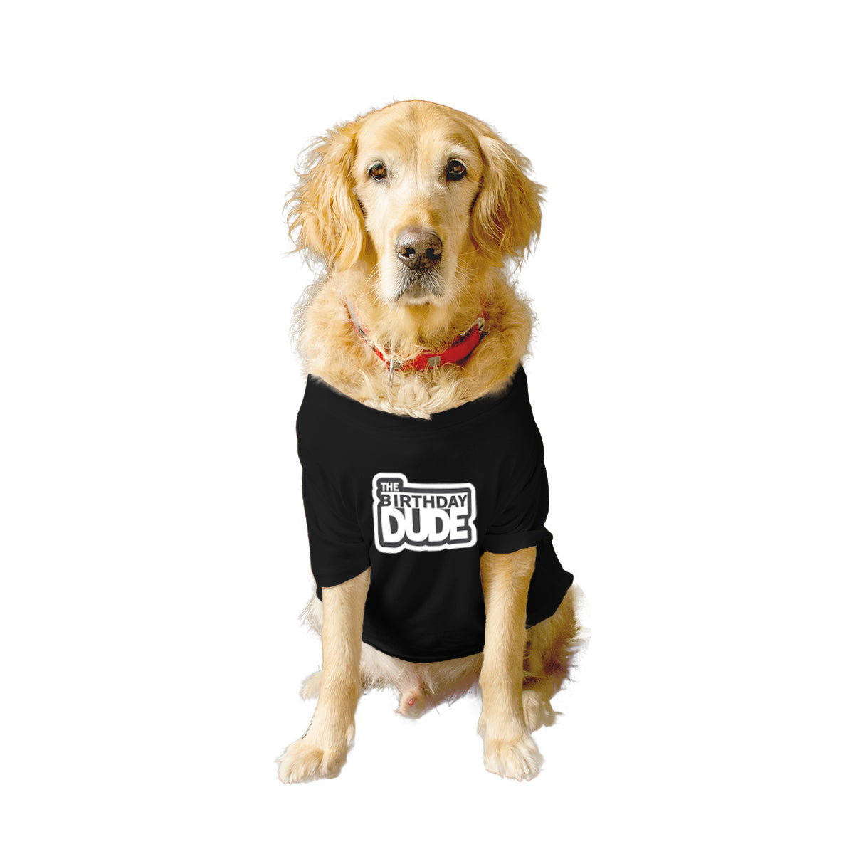 Ruse XX-Small (Chihuahuas, Papillons) / Black Ruse Basic Crew Neck 'The Birthday Dude' Printed Half Sleeves Dog Tee8