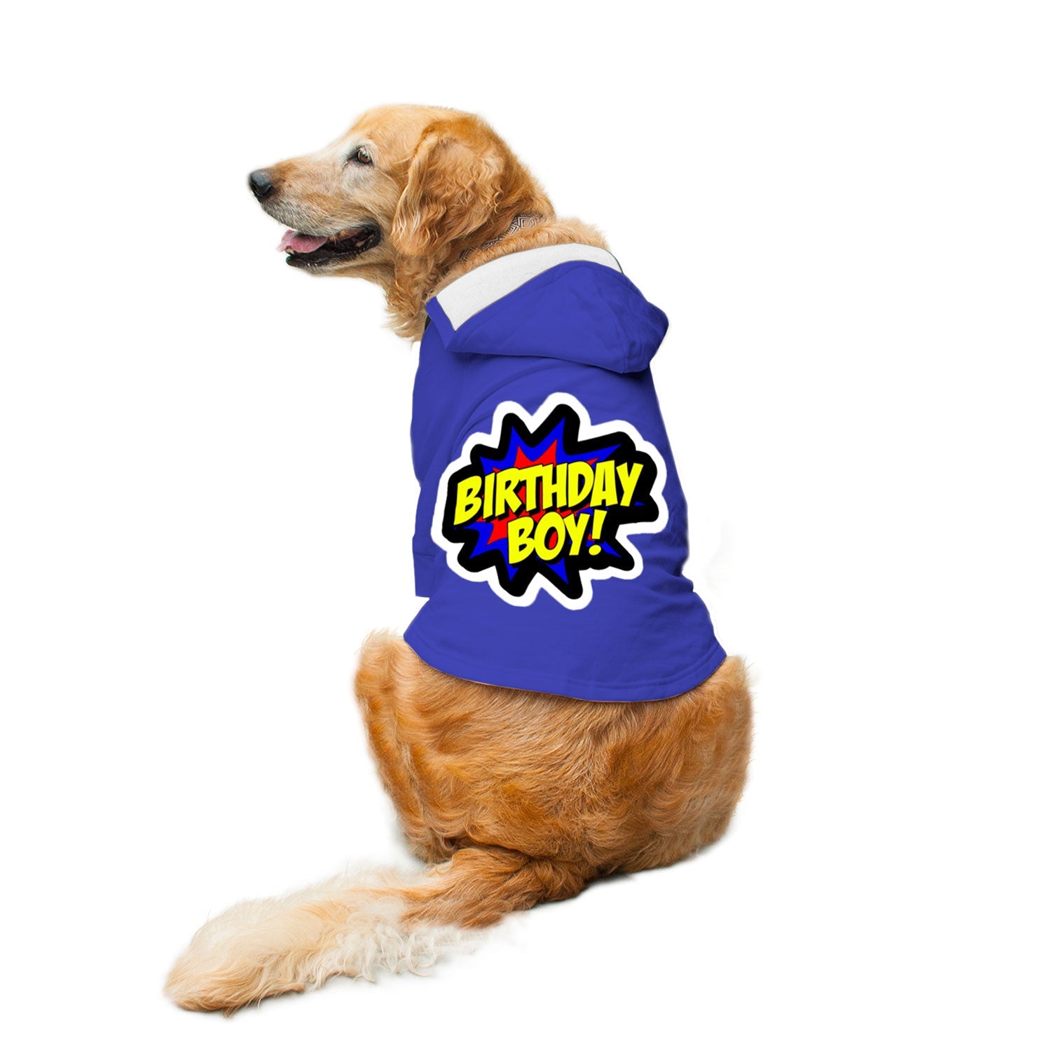 Ruse / Royal / birthday-boy-dog-hoodie