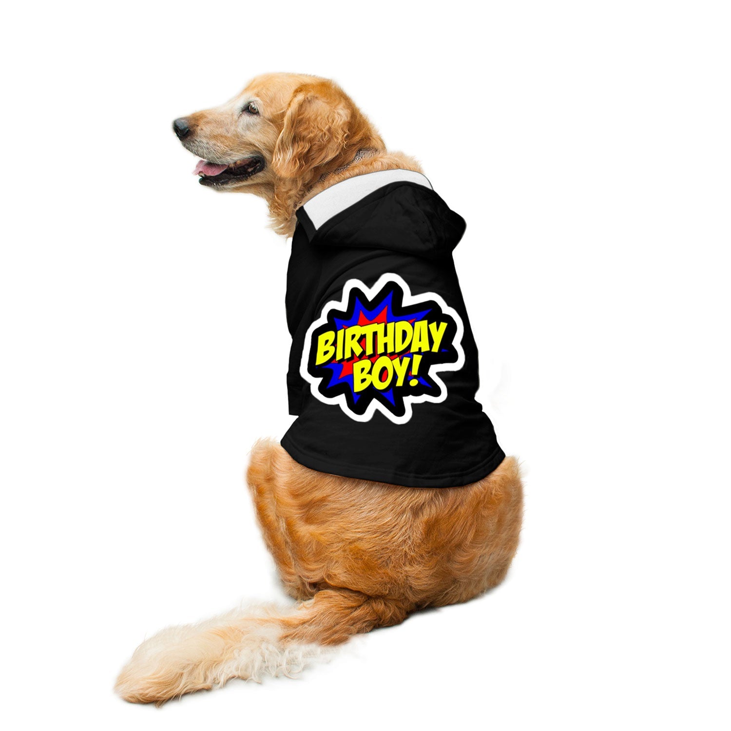 Ruse / Black / birthday-boy-dog-hoodie