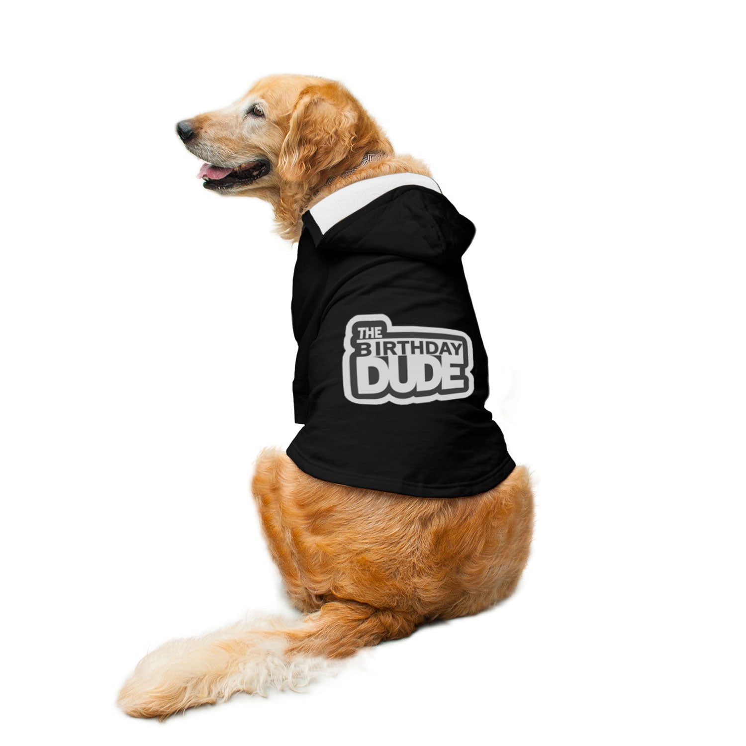 Ruse / Black / the-birthday-dude-dog-hoodie