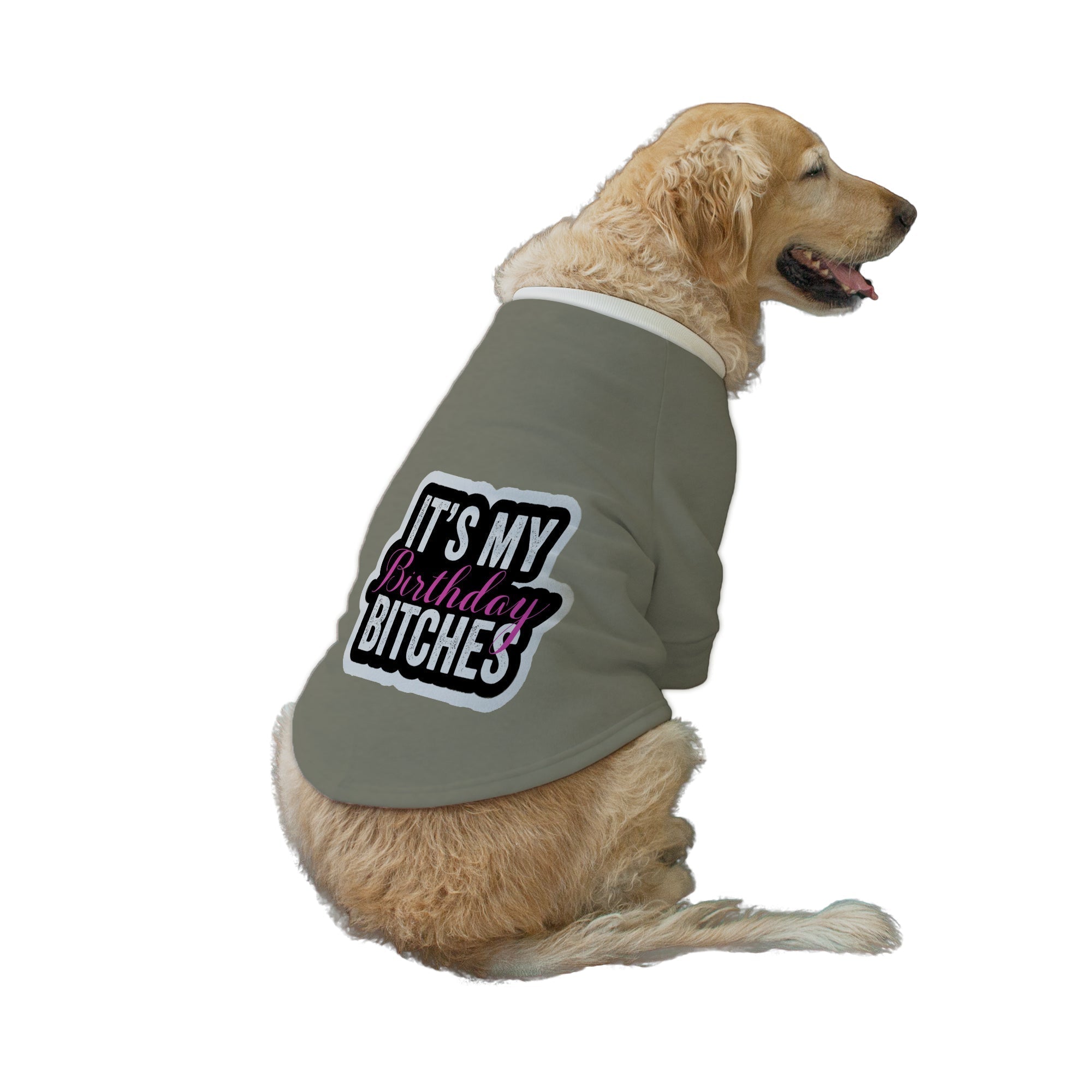 Ruse XXS / Grey "It's My Birthday Bitches" Printed Dog Technical Jacket