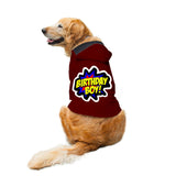 Ruse / Maroon / birthday-boy-dog-hoodie