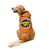 Ruse / Orange / birthday-boy-dog-hoodie