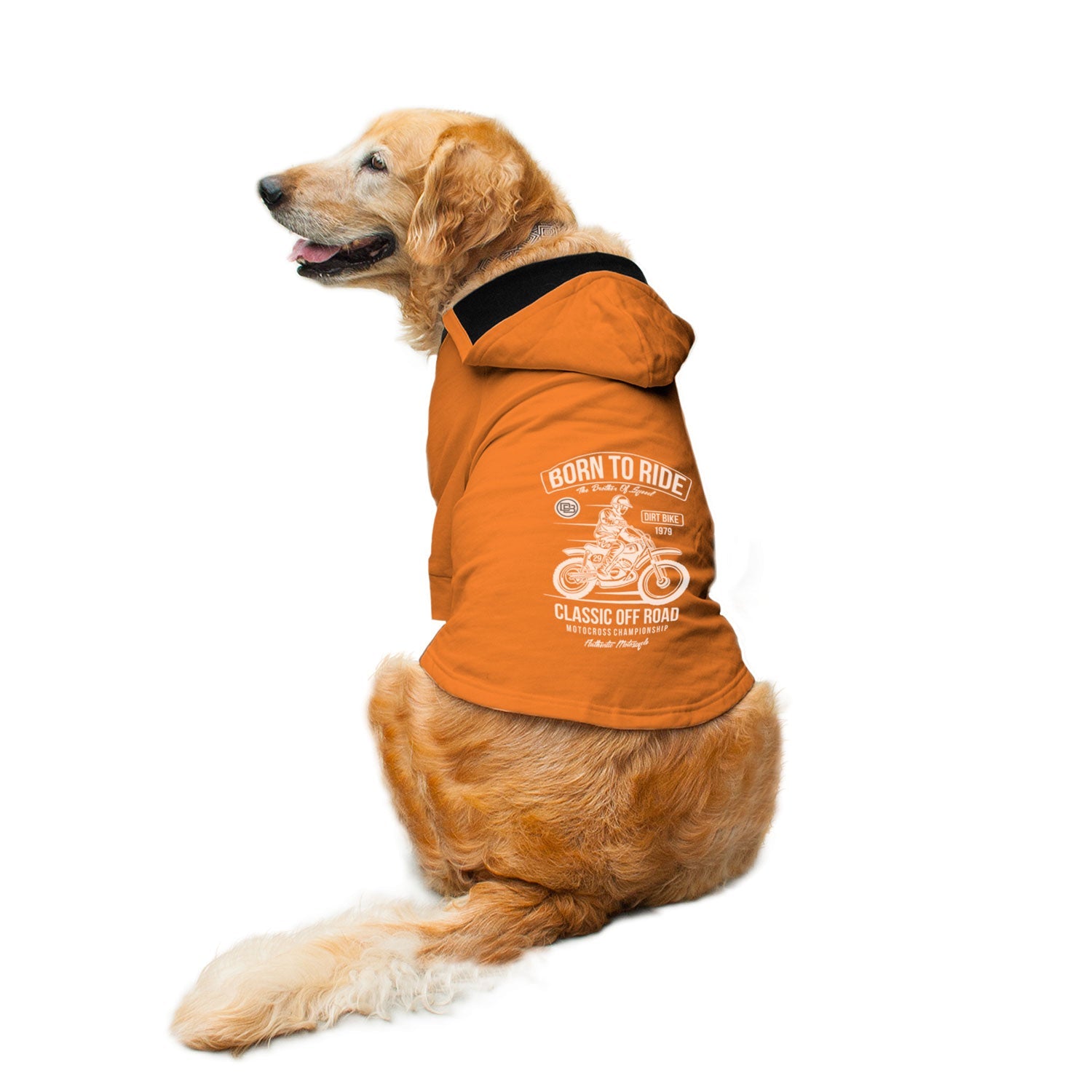 Ruse / Orange / born-to-ride-dog-hoodie-8