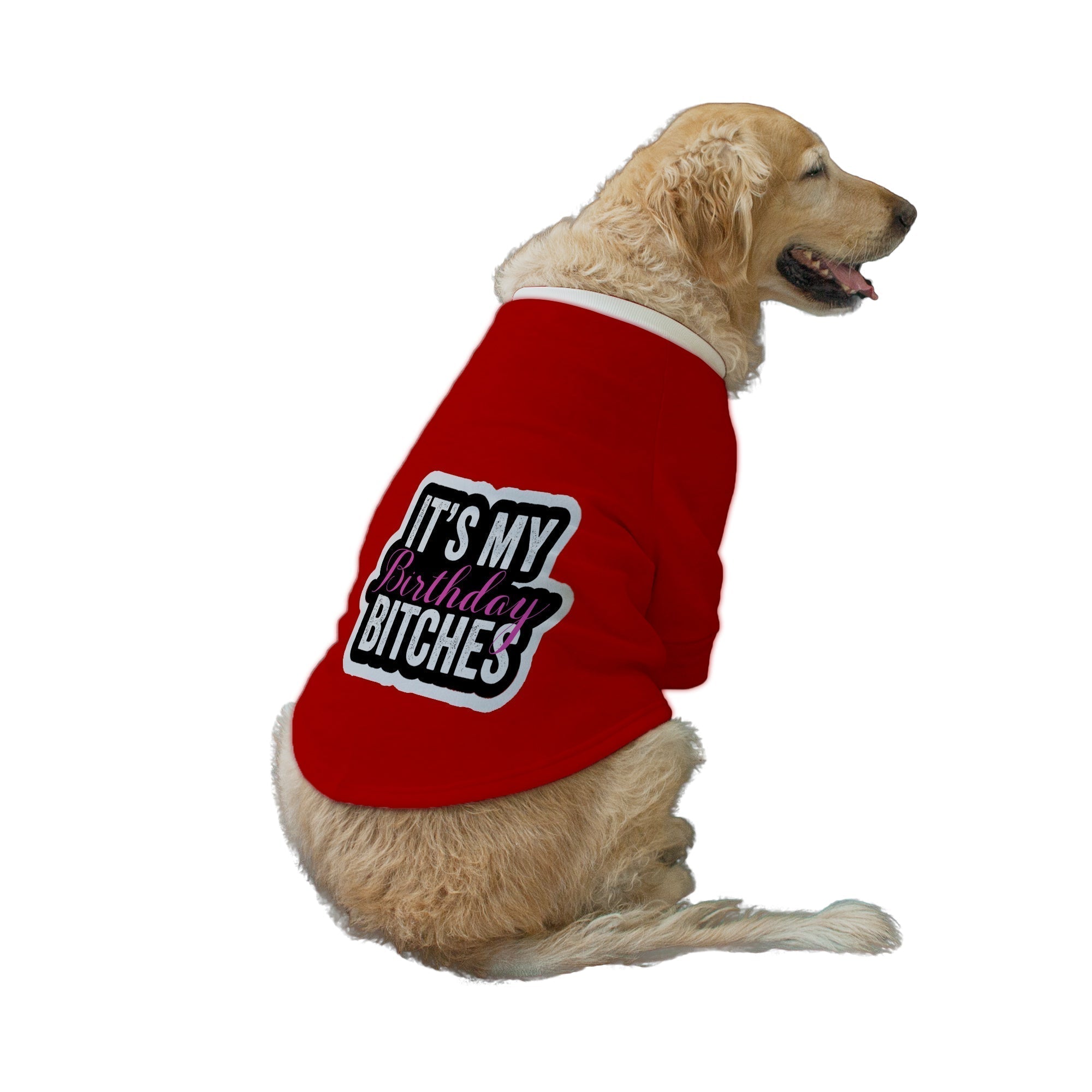 Ruse XXS / Red "It's My Birthday Bitches" Printed Dog Technical Jacket