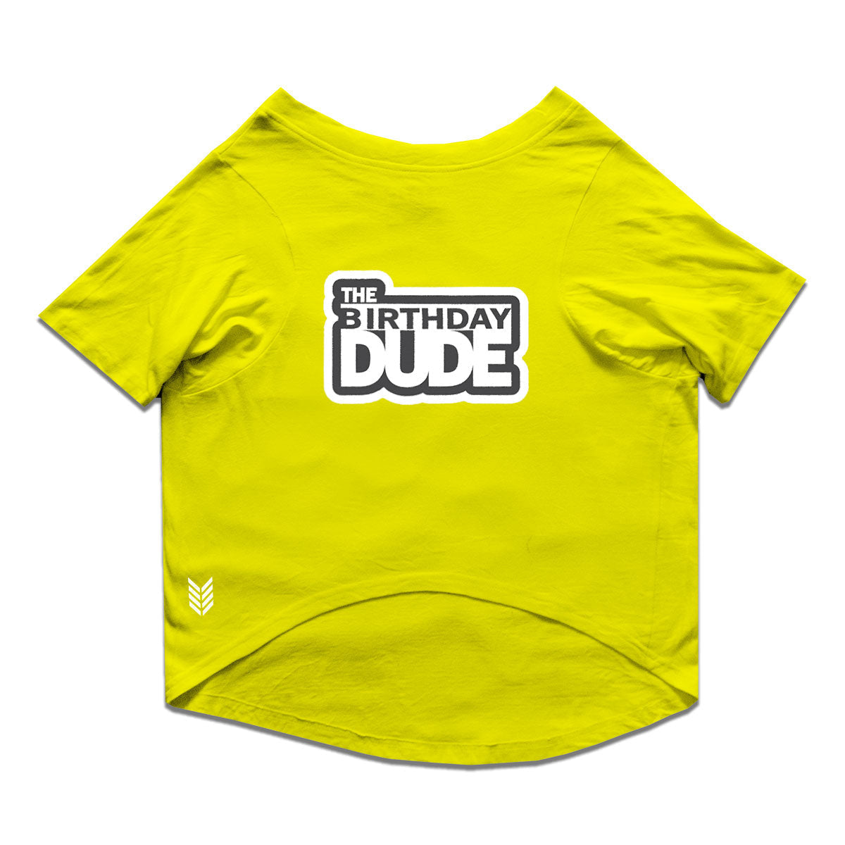 Ruse / Yellow Ruse Basic Crew Neck 'The Birthday Dude' Printed Half Sleeves Dog Tee12