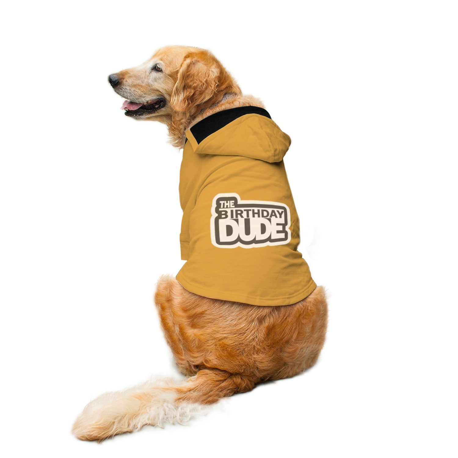Ruse / Yellow / the-birthday-dude-dog-hoodie